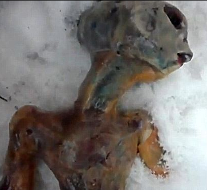 Dead alien found in Russia Dead Alien found in snow
