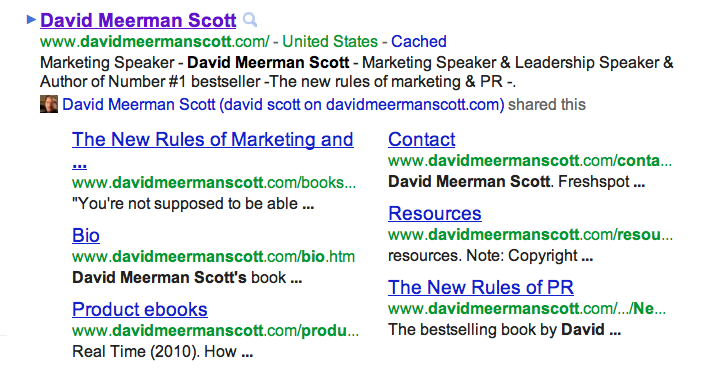 David meerman scott results