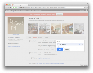 Google+ Brand Pages