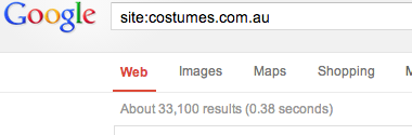 SEO Index Check 