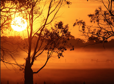 seo-melbourne-sunrise Melbourne Sunrise